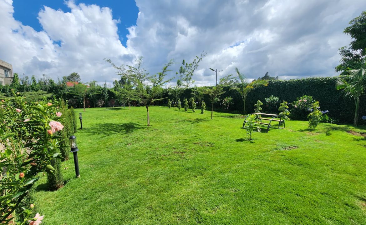 landscaping-2