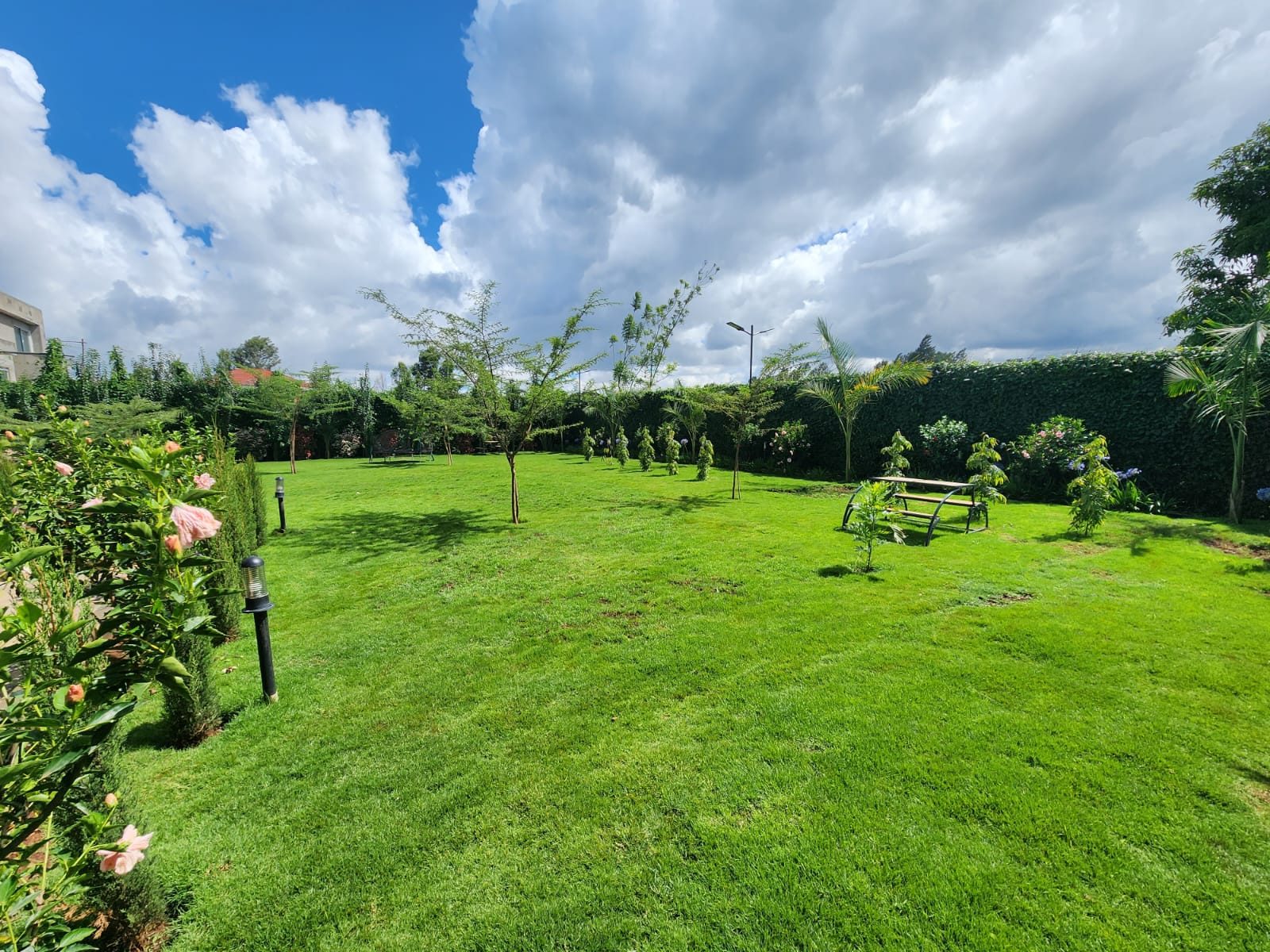landscaping-2