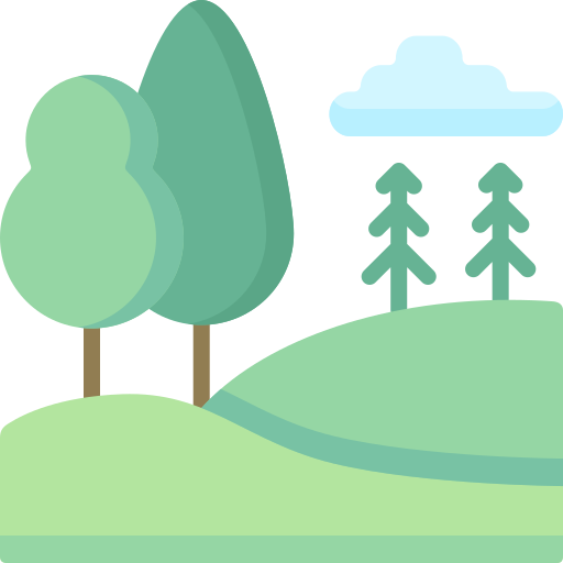 landscaping landscaping
